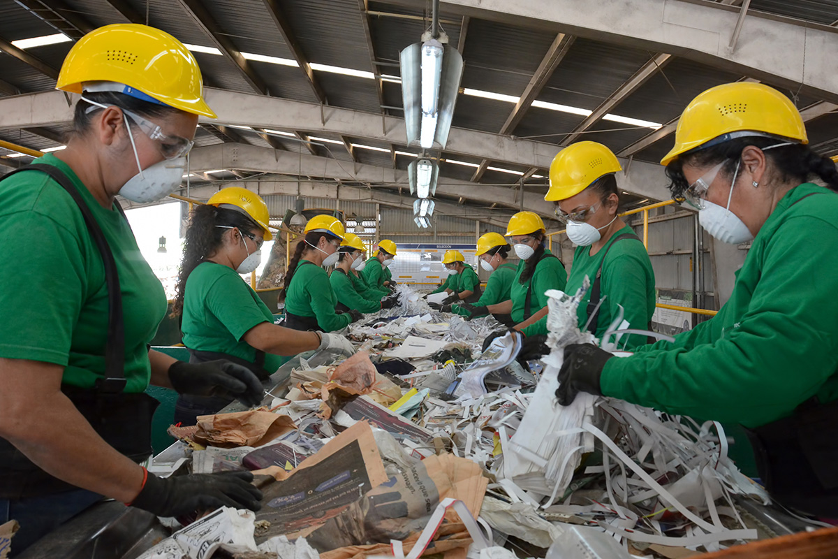 Equipo de ALBOMY clasificando material reciclable en la banda de selección.